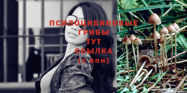 mix Аркадак